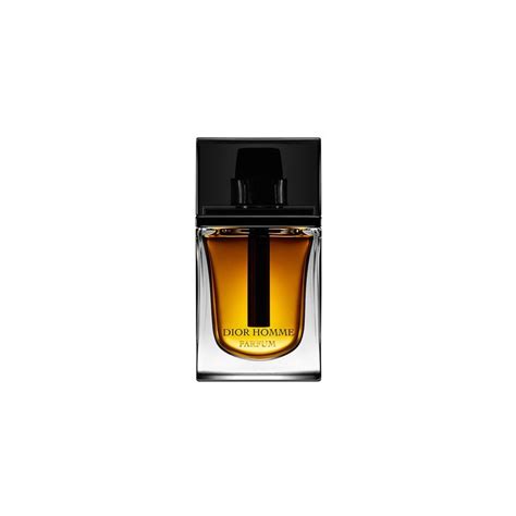 SCOPRI DIOR HOMME 